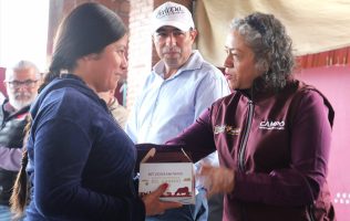 Activan mesas de emergencia en Edomex ante plaga de gusano barrenador