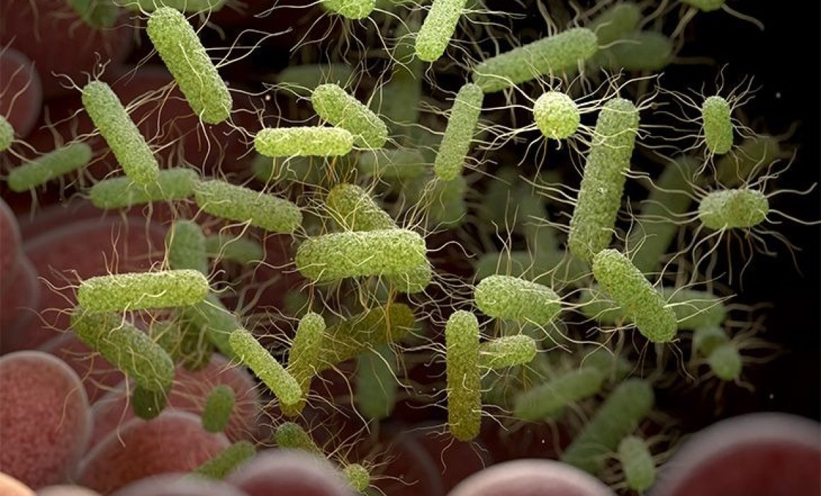 Alertan por casos de salmonelosis en negocio de sushi en Huehuetoca