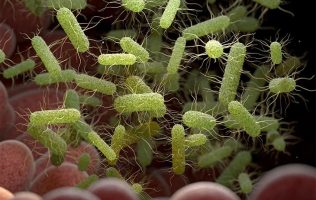 Alertan por casos de salmonelosis en negocio de sushi en Huehuetoca