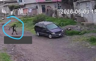 Buscan a hombre que golpeó a perro con martillo en Teoloyucan