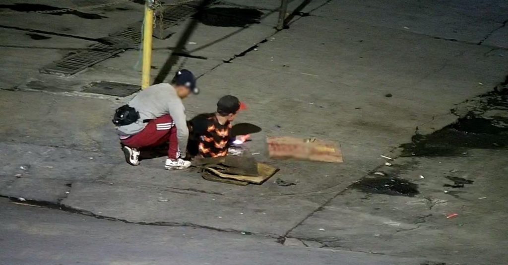 FOTOS: SSEM