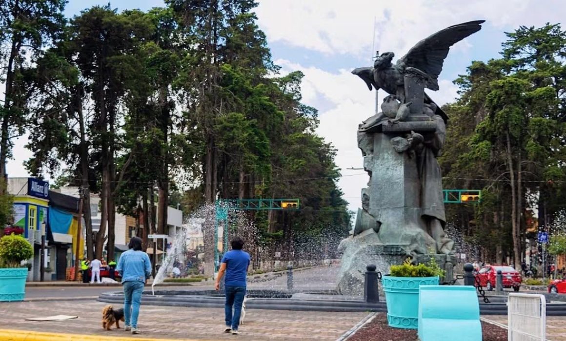 Cuestionan ambientalistas retiro de árboles en Paseo Colón en Toluca