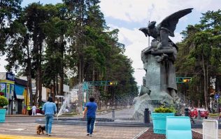 Cuestionan ambientalistas retiro de árboles en Paseo Colón en Toluca