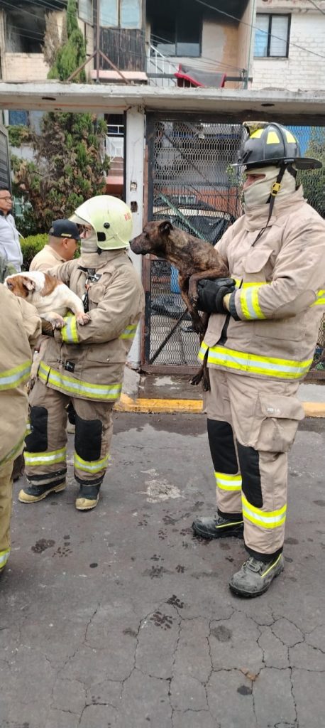 Fotos: gobierno de Ecatepec