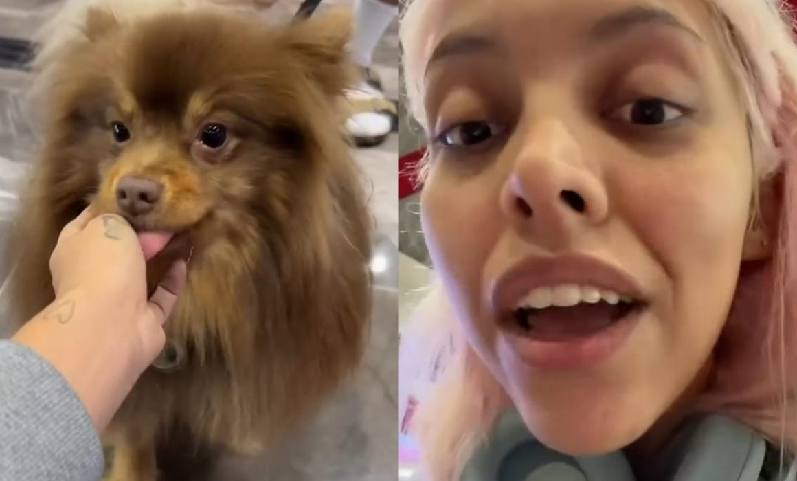 Influencer arma escándalo en aeropuerto por no poder viajar con su perro