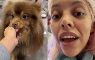 Influencer arma escándalo en aeropuerto por no poder viajar con su perro
