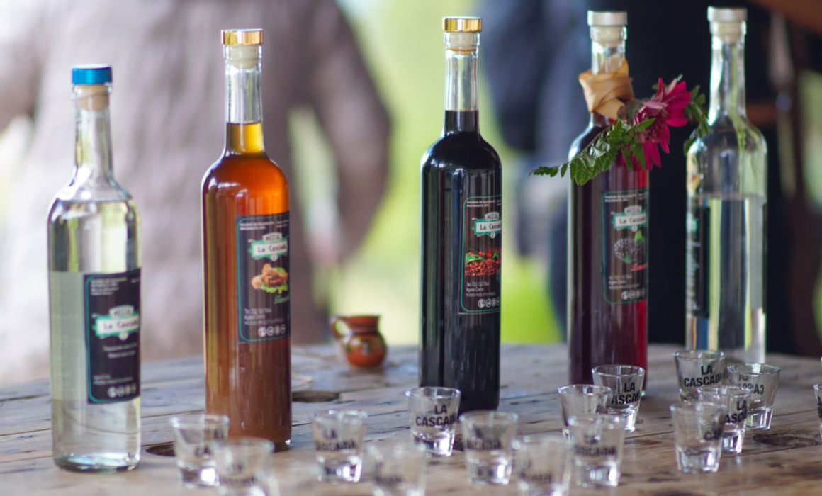 Integra Edomex a 15 municipios en la nueva Ruta del Mezcal