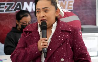 Lleva Carmen de la Rosa esterilización gratuita a Nezahualcóyotl