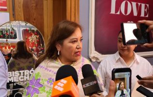 Mantienen vigilancia por tala ilegal en bosques de Ocoyoacac