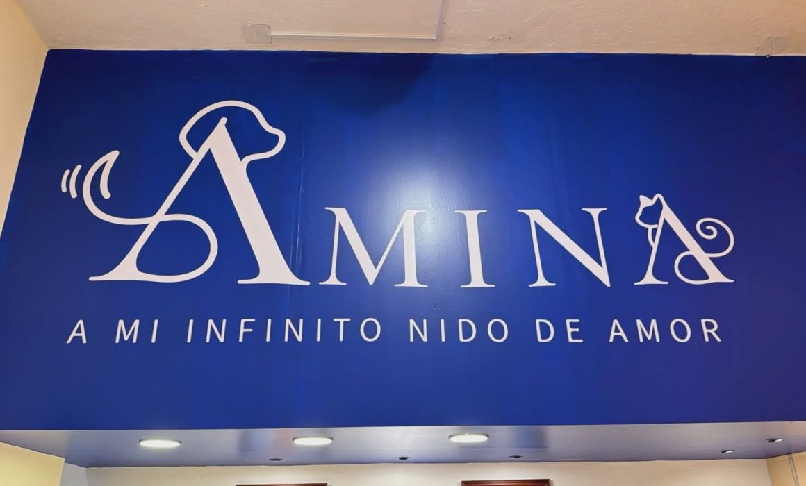 Nace AMINA funeraria animal en Mexicaltzingo; concepto único en Edomex