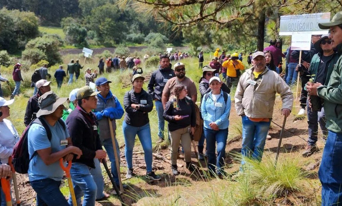 Participa Jilotzingo en programa estatal de restauración forestal