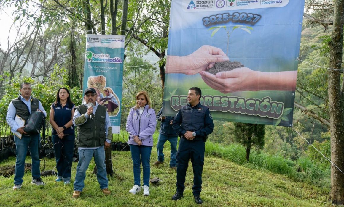 Planta Atizapán 200 encinos para fortalecer el Parque de los Ciervos