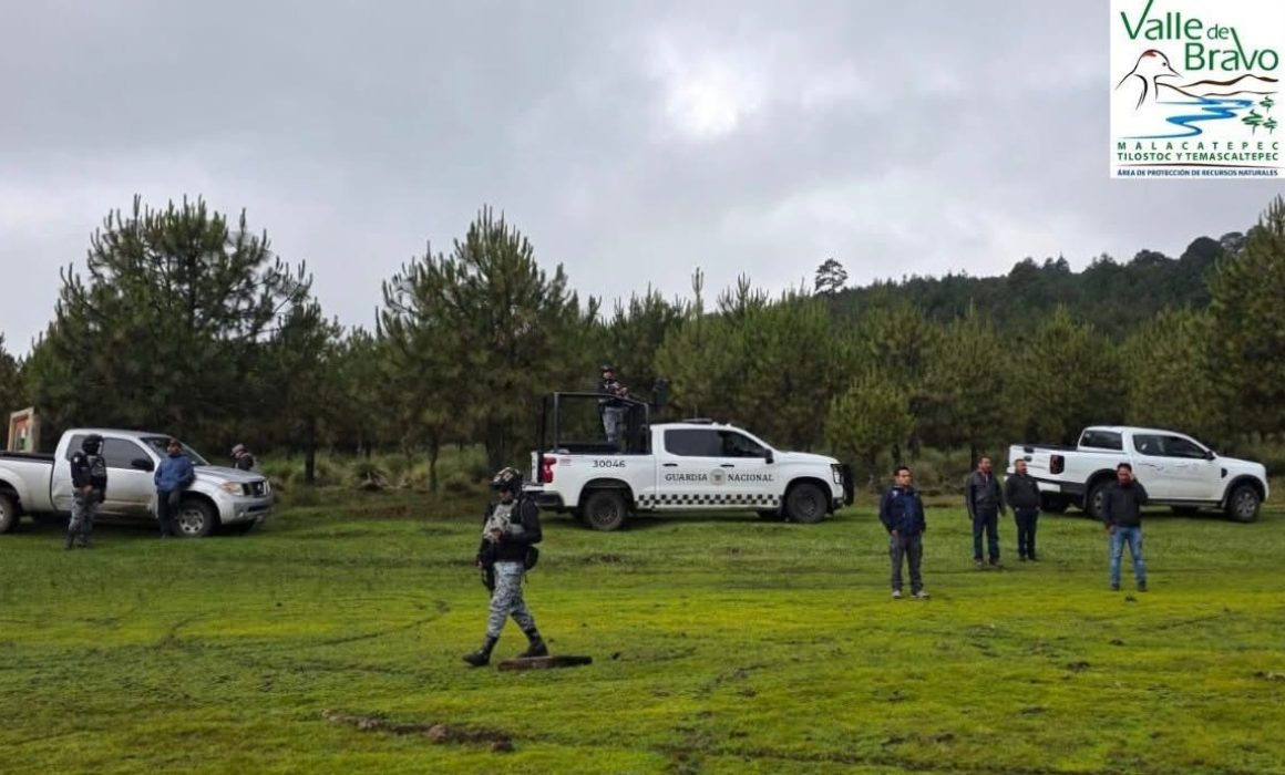 Restringen tránsito de vehículos todo terreno en bosques de Amanalco