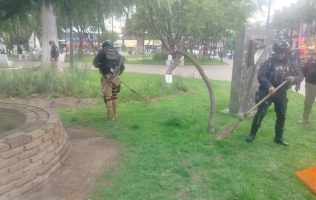 Roban a cuentahabiente en Toluca mientras policías podaban el pasto