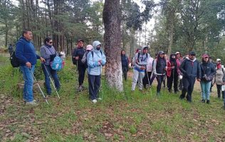 Abre Jocotitlán su joya natural al turismo; rescatan el Cerro Xocotépetl