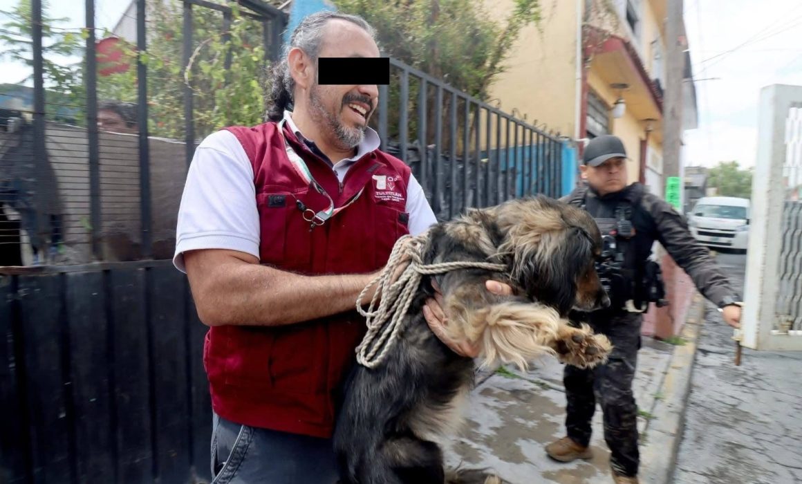Acusan a funcionario de Tultitlán de electrocutar perros para matarlos