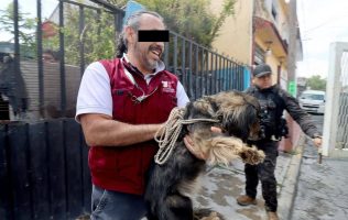 Acusan a funcionario de Tultitlán de electrocutar perros para matarlos