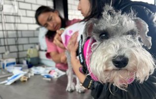 Adopta un nuevo amigo en la Feria Amor a Primera Huella