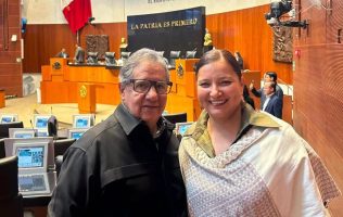 Buscará Higinio Martínez reelegirse como senador por Morena