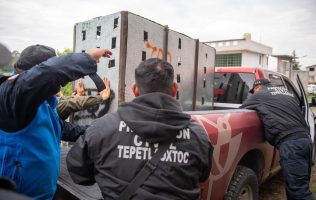 Trasladan a Kenzo a Reino Animal tras su captura en Tepetlaoxtoc