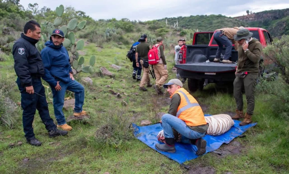 Investigan causas de muerte de Kenzo; en espera de confirmación oficial