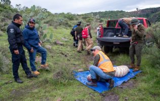 Investigan causas de muerte de Kenzo; en espera de confirmación oficial