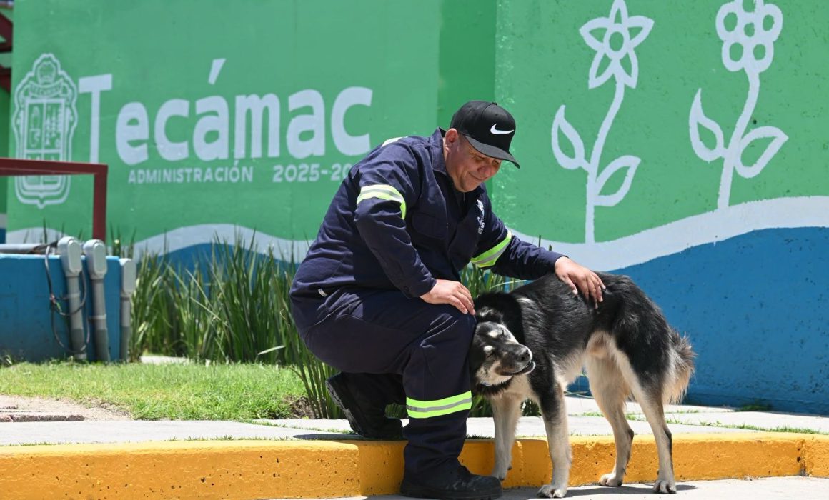 Celebra Tecámac Día Internacional del Perro con bienestar animal