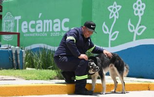 Celebra Tecámac Día Internacional del Perro con bienestar animal