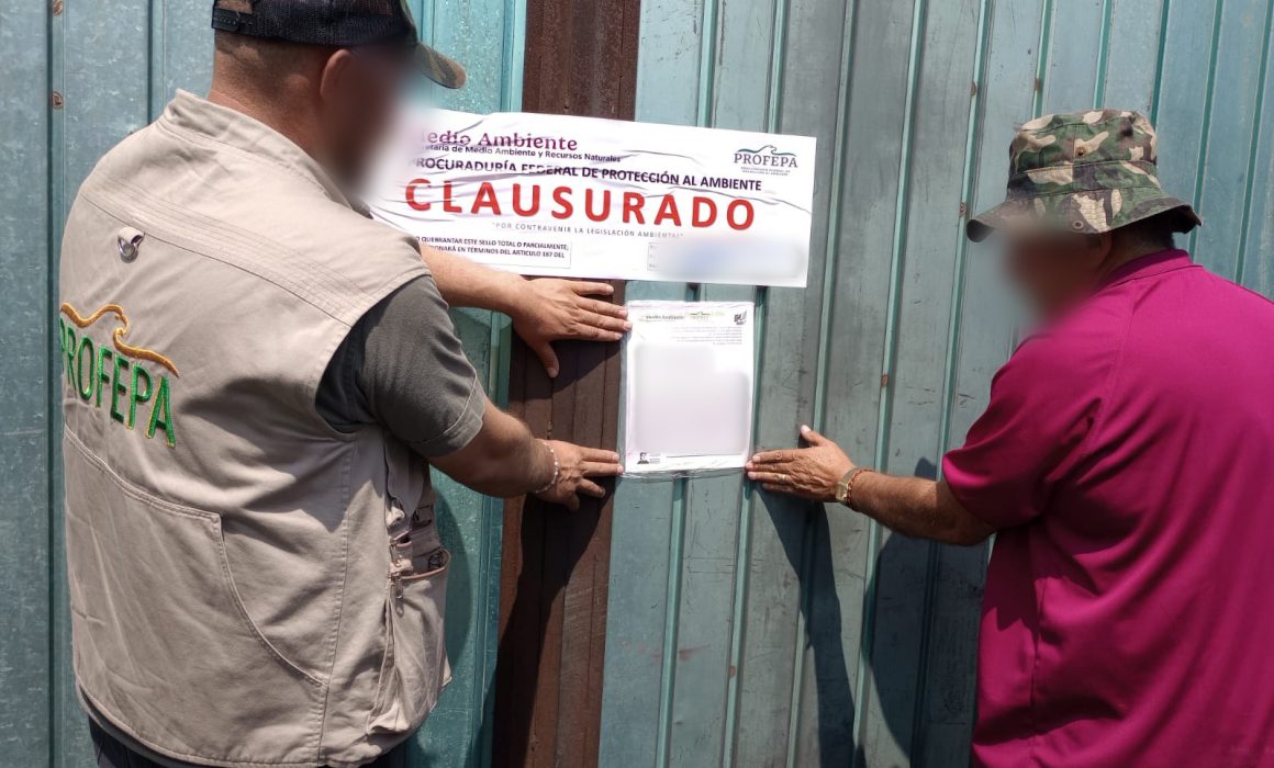 Colocan sellos a carbonería que operaba sin permisos en Metepec