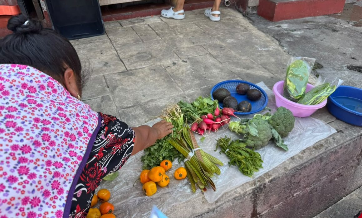 Concentra el Edomex la canasta básica más cara del país