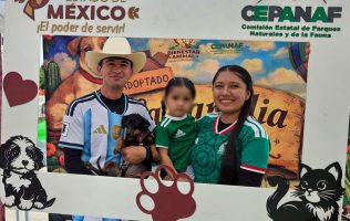 Consiguen hogar 23 perros mediante programa del Gobierno del Edomex