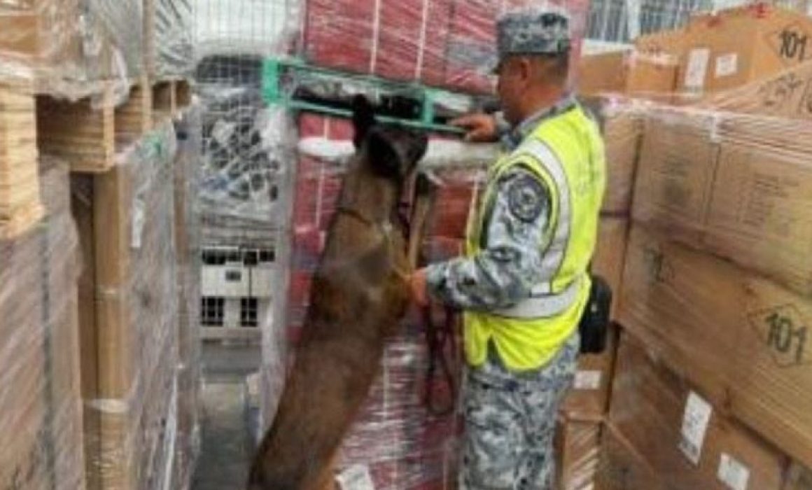 Decomisan 84 mil cigarrillos apócrifos en el AIFA
