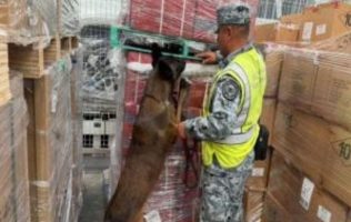 Decomisan 84 mil cigarrillos apócrifos en el AIFA