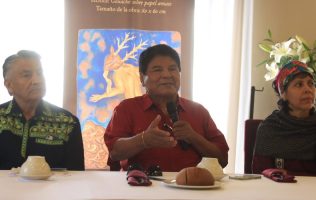 Estrenarán en el Macedonio Alcalá El mundo mágico de Los Binnigulaza