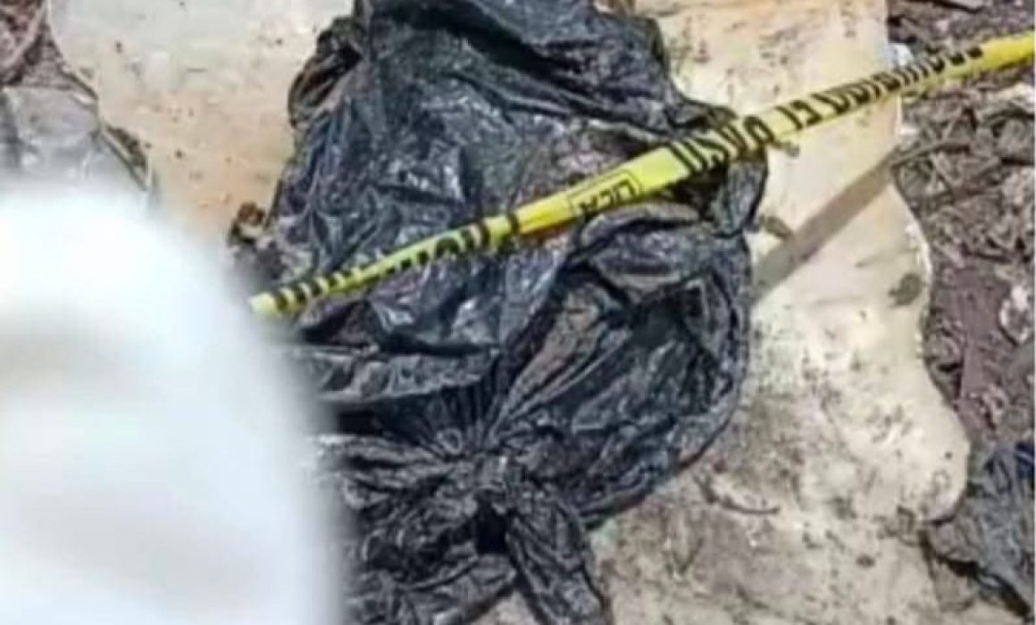 Hallan restos humanos en Nextlalpan; peritos buscan su identificación