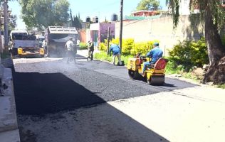 Hunden baches a Nicolás Romero mientras Yoselín Mendoza los ignora