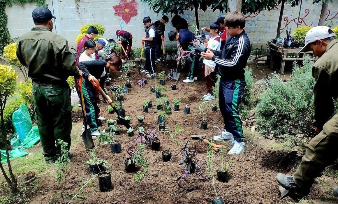 Inaugura Edomex jardín para polinizadores en Tepotzotlán