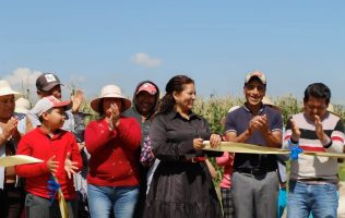 Inauguran con bombo y platillo mini puente; genera burlas en Ixtlahuaca