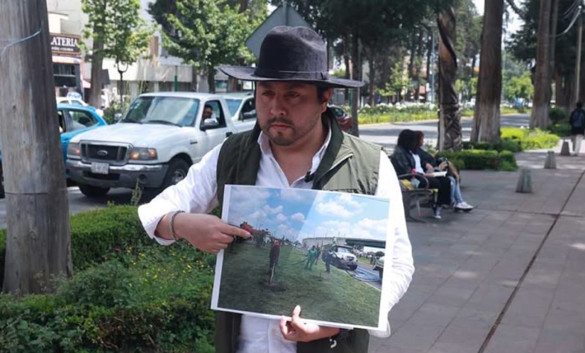Lleva Eco Urban a la CODHEM caso por retiro de árboles en Paseo Colón