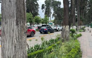 Piden transparentar saneamiento del arbolado de Colón en Toluca