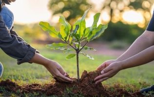 Planta un árbol y participa en la jornada ambiental de Tlalnepantla