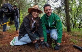 Pone Pepe Couttolenc manos a la obra en la reforestación de Edomex
