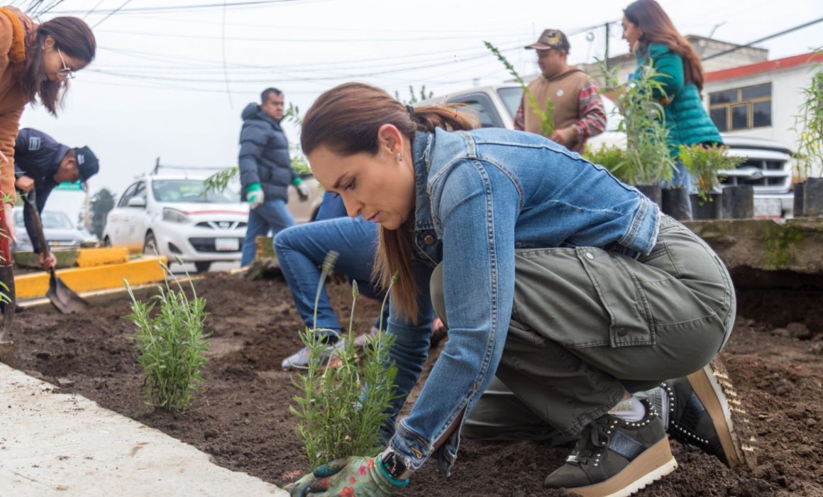 Recorre Erika Olea comunidades y encabeza jornada de reforestación