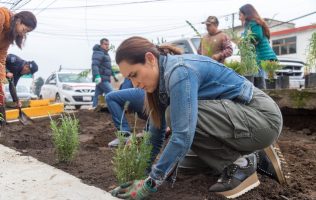 Recorre Erika Olea comunidades y encabeza jornada de reforestación