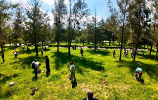 Reforestan Cuautitlán Izcalli con más de 7 mil árboles