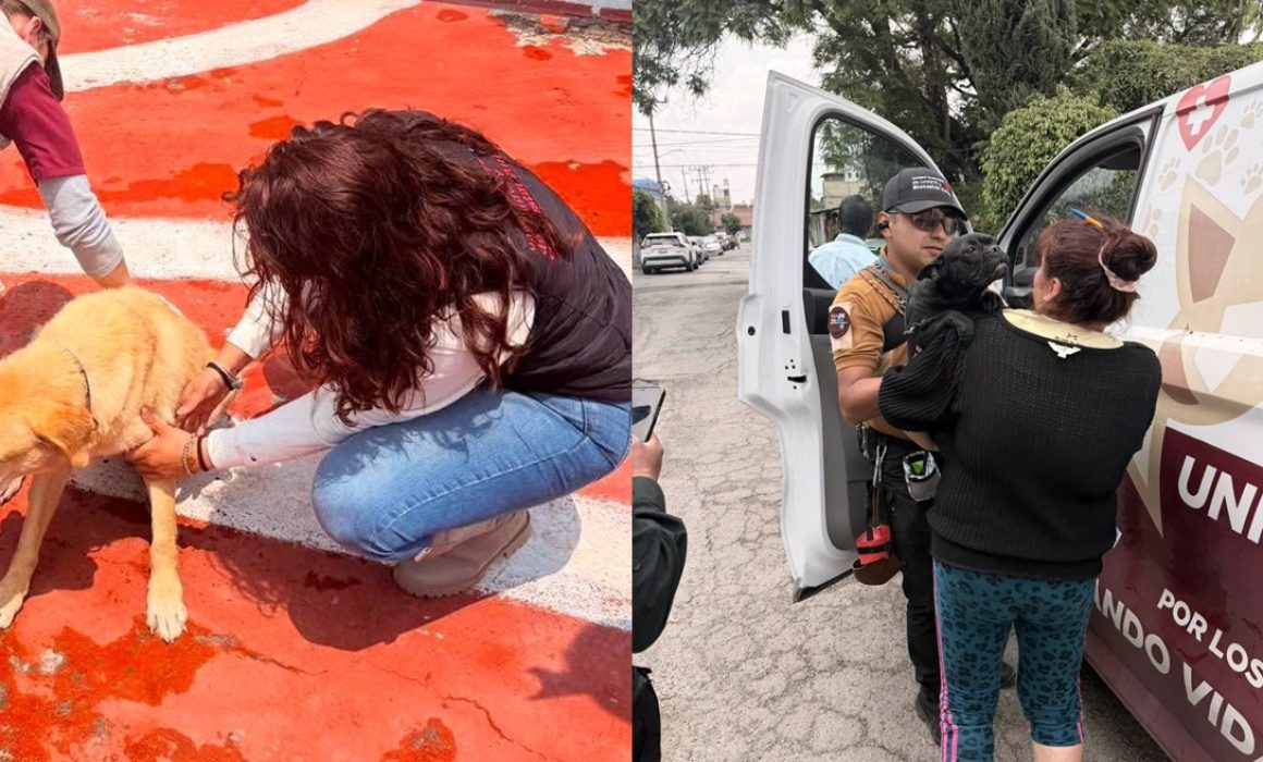 Rescatan en Coacalco animales explotados para venta en mercado negro