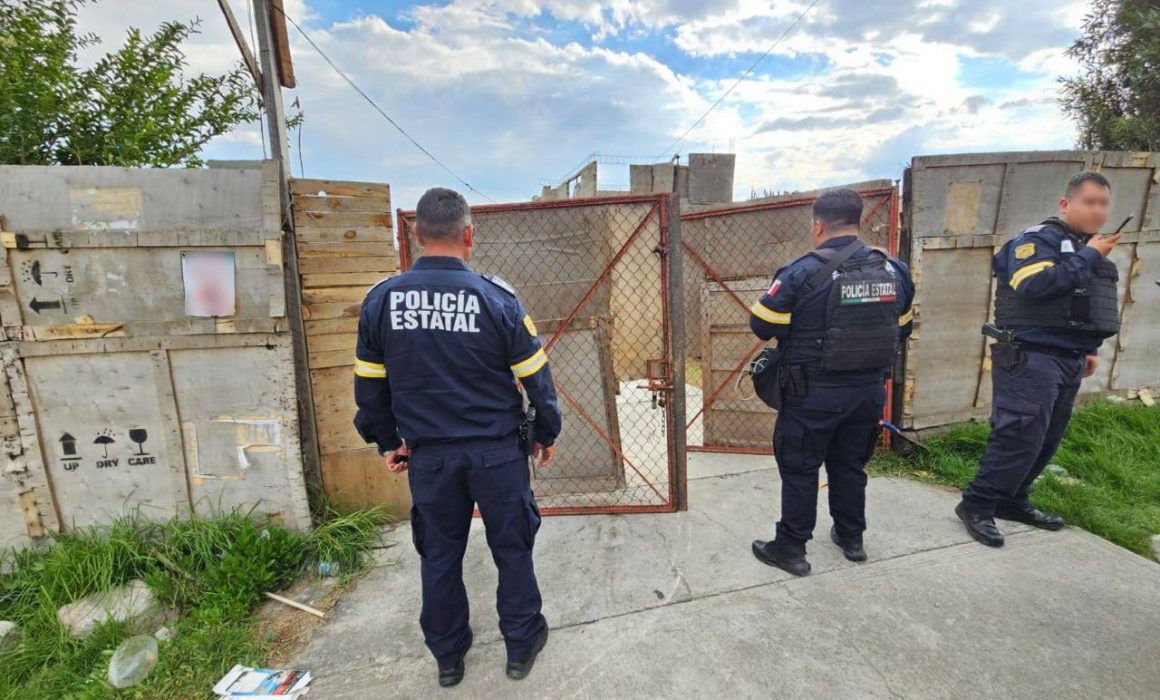 Resguarda SSEM predio con cinco vehículos robados en Otzolotepec