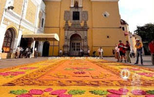 Revive el tapete de aserrín una tradición centenaria en Toluca