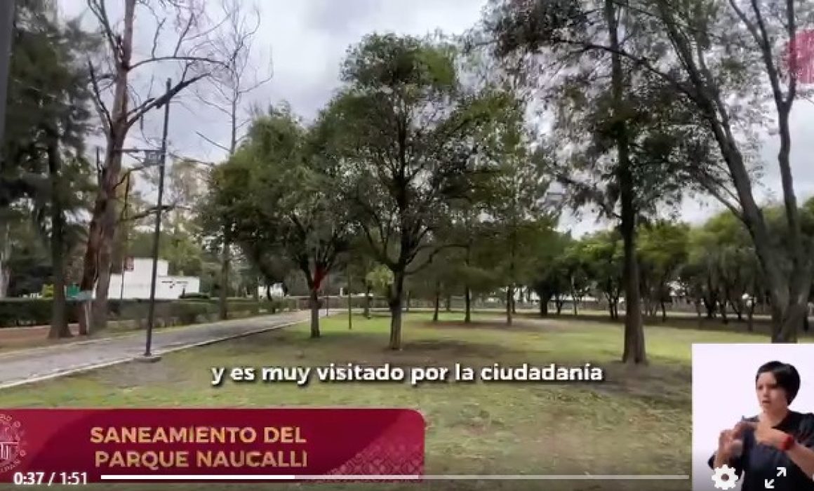 Saneará Naucalpan el Parque Naucalli para retirar árboles enfermos