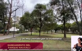 Saneará Naucalpan el Parque Naucalli para retirar árboles enfermos